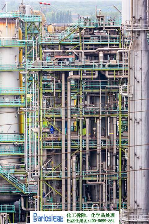 Go Green_ A Call for Environmental Protection