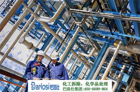 长安镇环保实践，共建美好家园